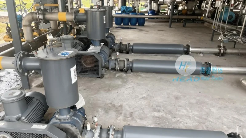 Pneumatic Conveying Scheme for Sodium Bicarbonate Desulfurization Powder