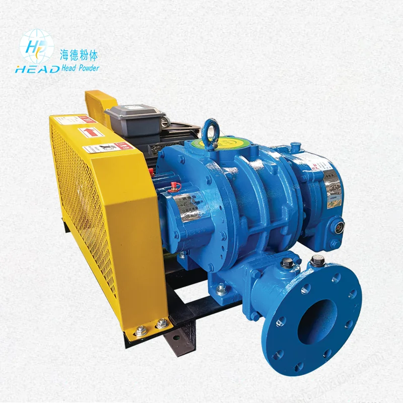 Roots vacuum pump